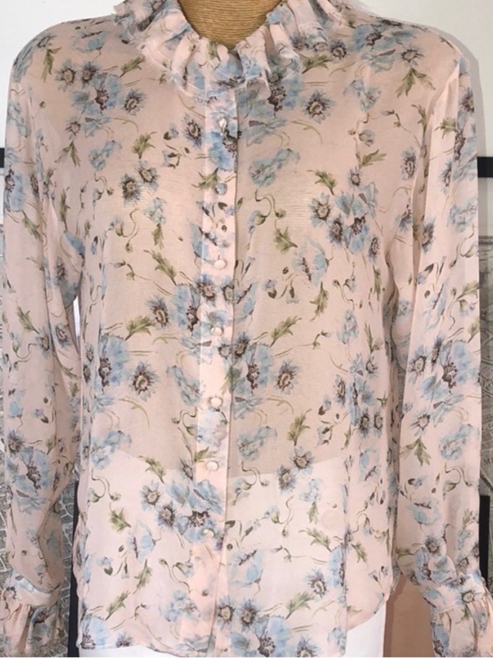 LoveShackFancy Pale Pink Blue Floral Ruffle Button Blouse